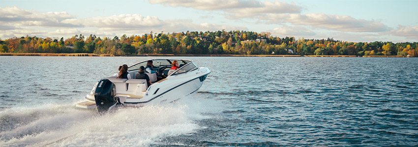 Flipper Boats