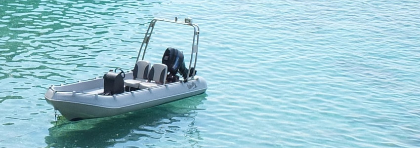 Whaly Boats