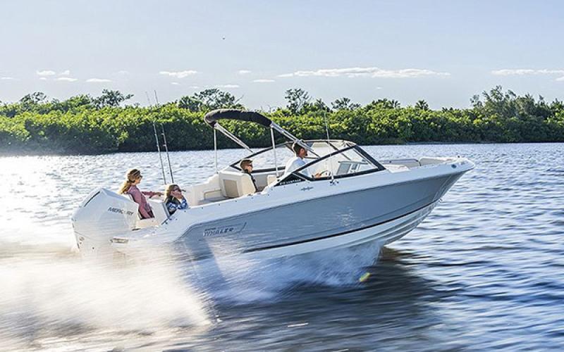 Boston Whaler 210 Vantage