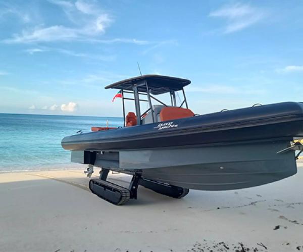 Iguana Rib